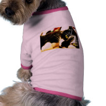 Cat pet clothing by christianward Cat pet clothing