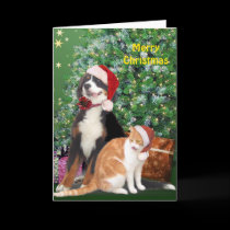 Cat & Dog with Santa Hats cards