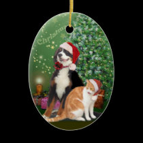 Cat & Dog with Santa Hats ornaments