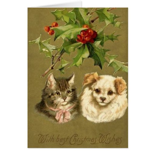 Cat & Dog's Christmas Card Zazzle