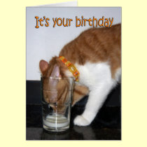 Cat Drinking from Glass Happy Birthday Card cards