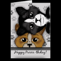 Cat Duet Birthday Card Saying Happy Purrr-thday! cards