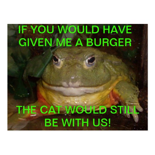 Cat Eating Frog Postcard Zazzle