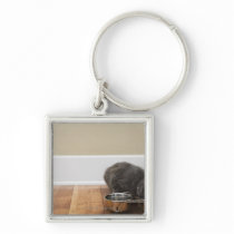 Cat eating from bowl key chain