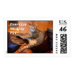 Cat Exercize to Stay Fit postage