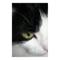 Cat eye closeup posters by Maciej_Frolow Cat eye closeup posters