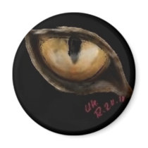 cat eye fridge magnets