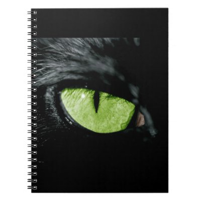 Cat eye note book