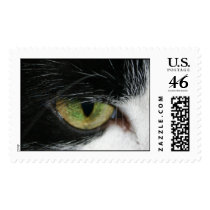 Cat eye postage by Maciej_Frolow Cat eye postage