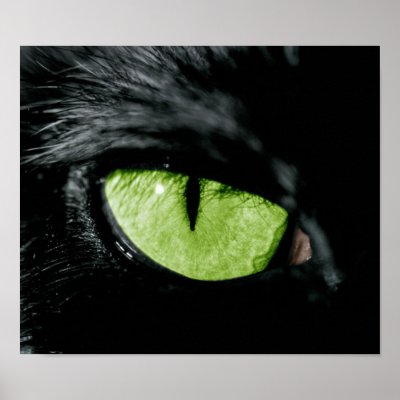 Cat eye posters