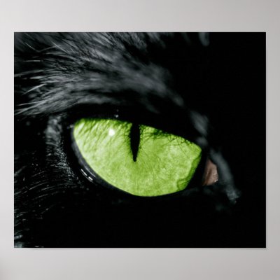 Cat eye poster