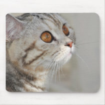 Cat Eyes Beauty Mousepad mousepads