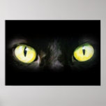 Cat Eyes, Black and Yellow Stare Poster