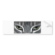 Cat Eyes bumper stickers