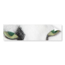 Cat Eyes bumper stickers