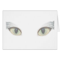 Cat Eyes cards