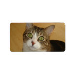 Cat Eyes Custom Address Labels