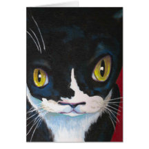 Cat Eyes Greeting Card