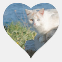 Cat eyes heart stickers