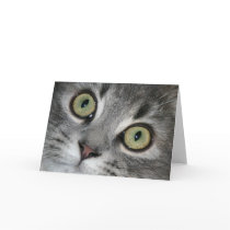'Cat Eyes' Notecard