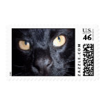 cat eyes stamps