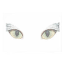 Cat Eyes posters by creativeworks Cat Eyes posters