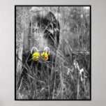 Cat Eyes posters