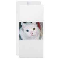 Cat Eyes rack cards by oddbob Cat Eyes rack cards