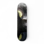 Cat Eyes Skateboard
