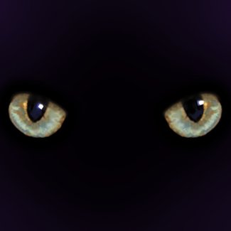 Cat-eyes sticker Cat-eyes sticker