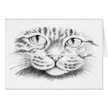 Cat Face Card