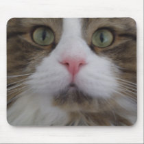 Cat Face Mouse pad mousepads