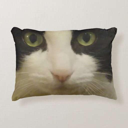 cat face on pillow