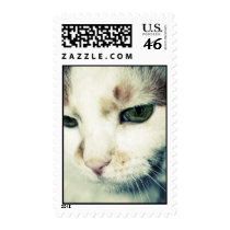 Cat face postage stamps