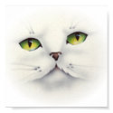 cat face posters