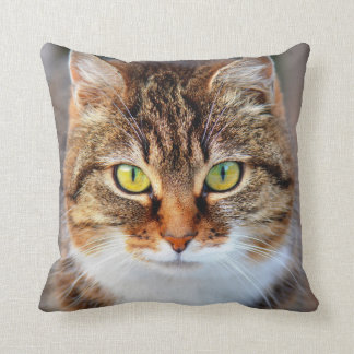 cat face throw pillow