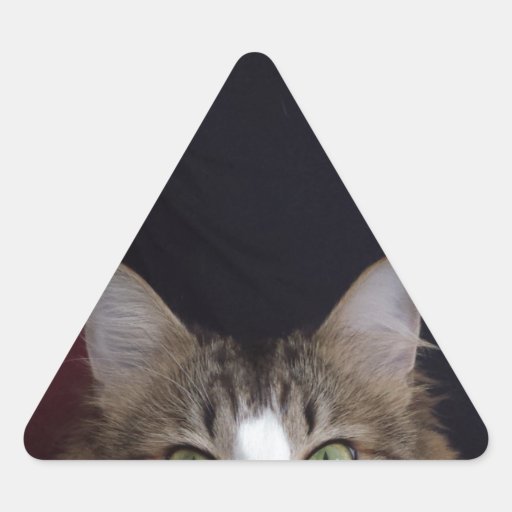 Cat Face Triangle Sticker Zazzle