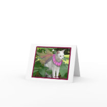 Cat Fairy with Pansy Necklace Notecard