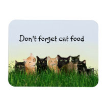 Cat family magnets