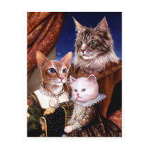 Cat Family Post Card