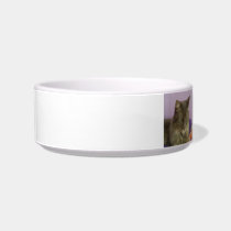 Cat Food Bowl