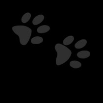 CaT footprints