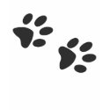 CaT footprints t-shirts