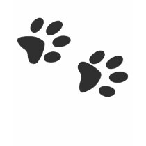 CaT footprints t-shirts