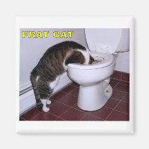 Cat Fridge Magnets