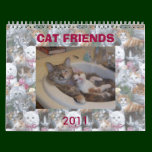 CAT FRIENDS FROM THE INTERNET calendars