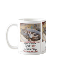 Cat Friends Mugs