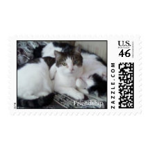 Cat Friendship Stamps