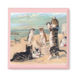 Cat Fun at the Beach Magnet