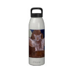 Cat Goddess Water Bottle